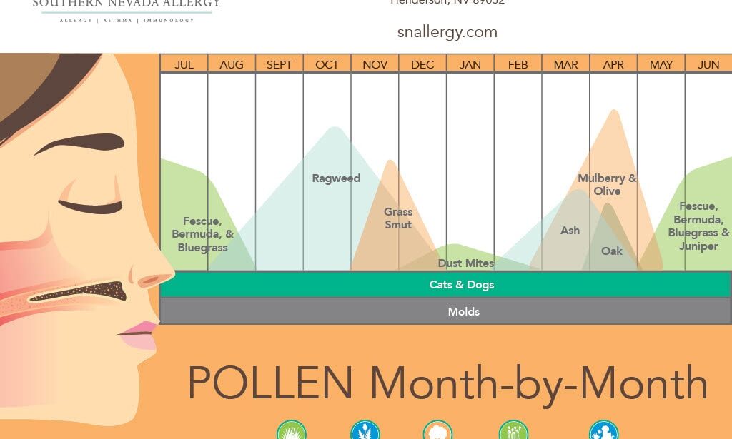 Southern Nevada Allergy's monthly pollen infographic calendar showing desert climate allergen patterns