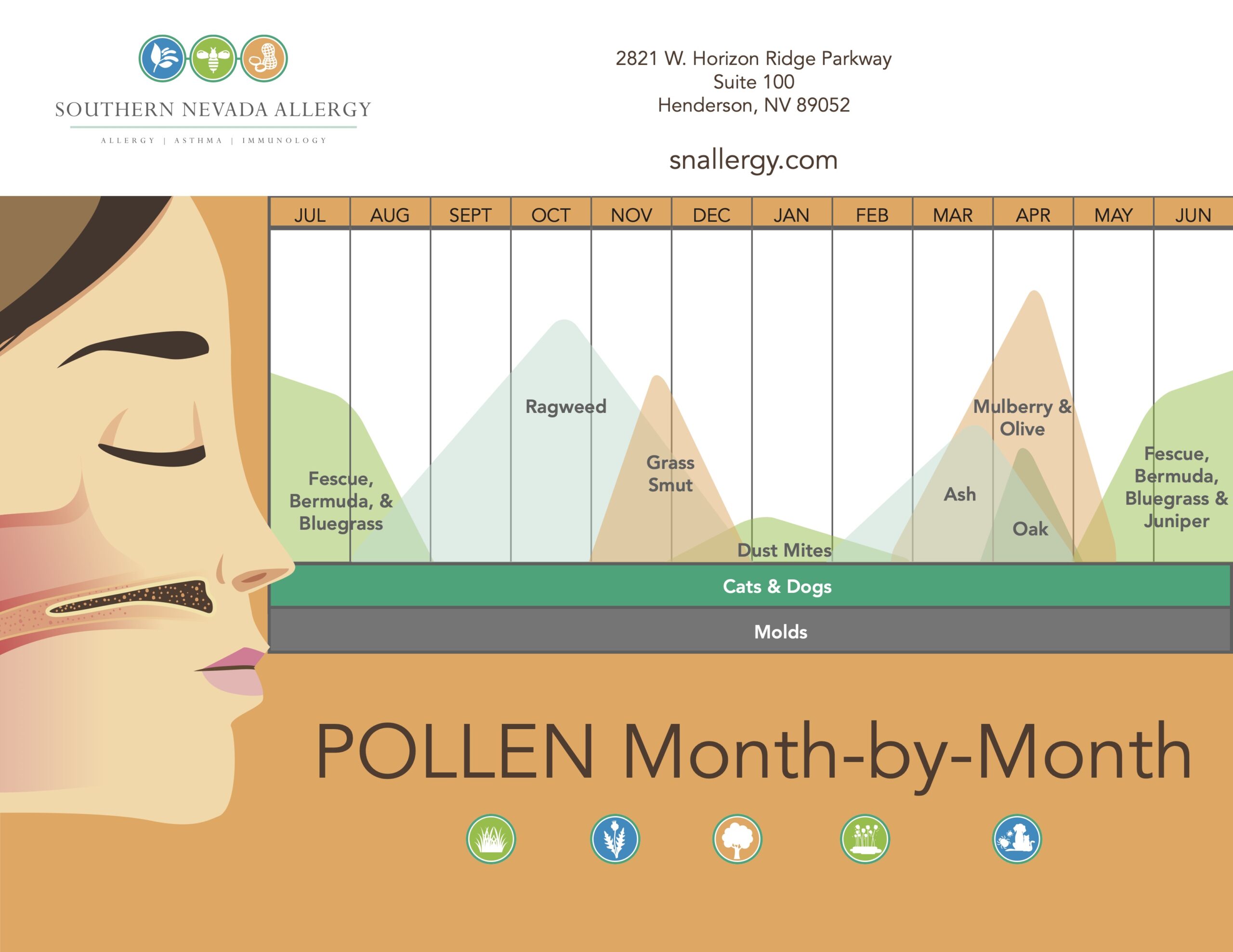 Southern Nevada Allergy month-by-month pollen calendar showing seasonal allergen peaks in Henderson Nevada, including grasses, ragweed, ash, mulberry, and year-round allergens