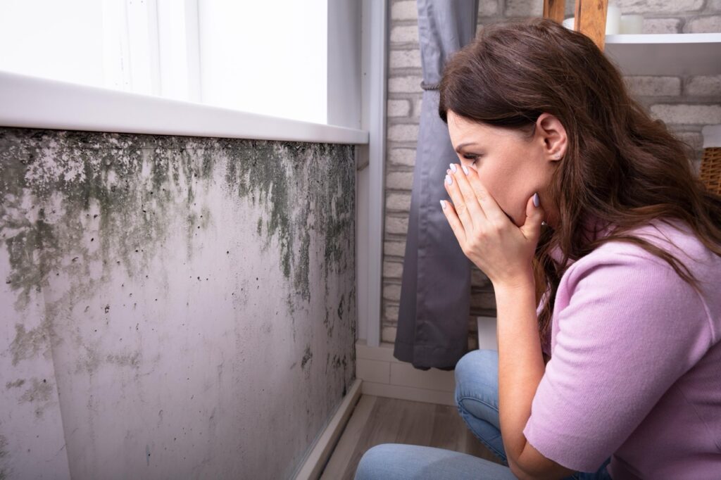 Indoor mold and summer allergies
